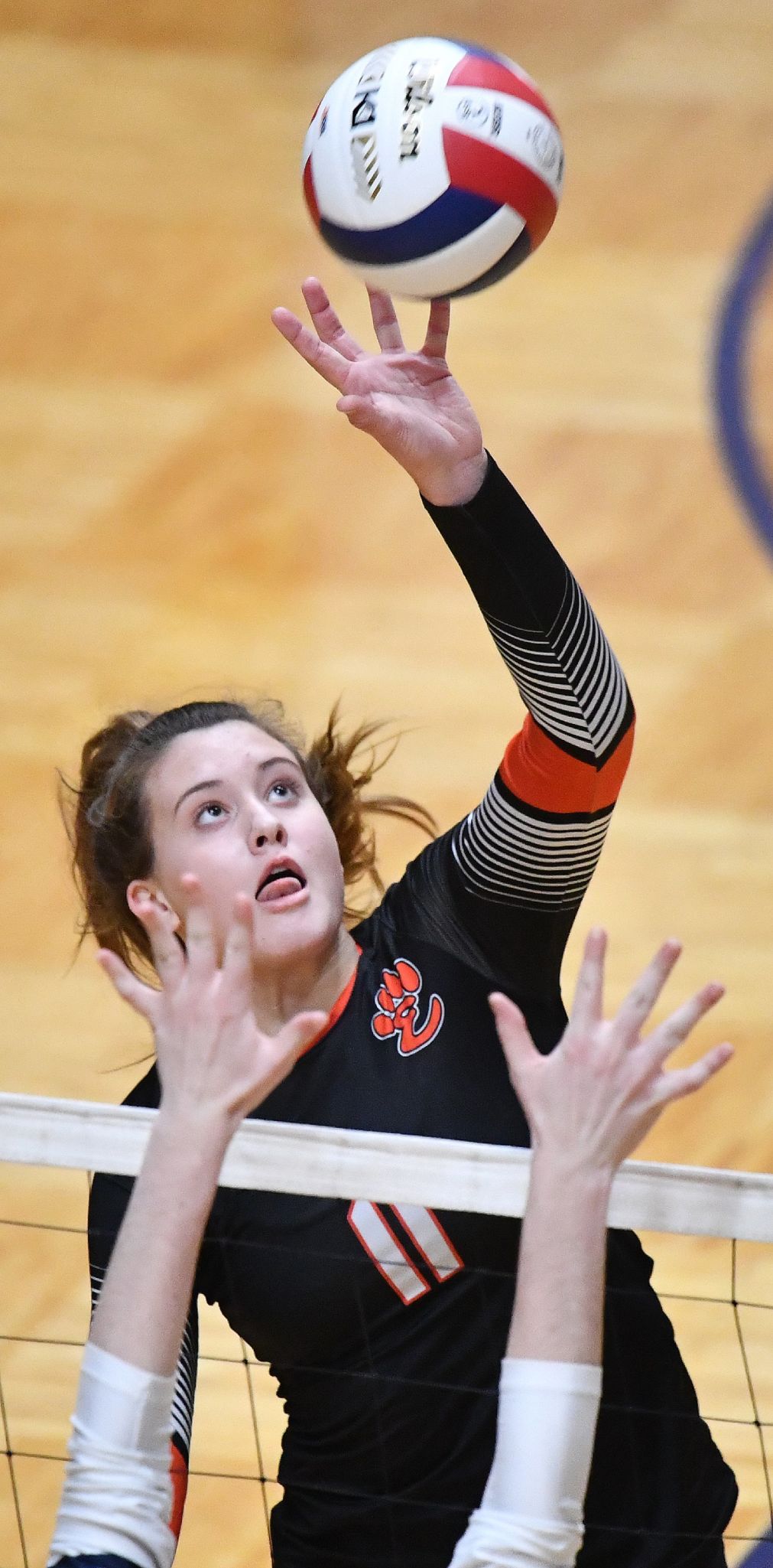 Edwardsville vs Althoff 4A Volleyball Sectional Semifinal
